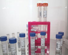 引進美國生物工程前沿技術，打造高科技生物制品研發新生態